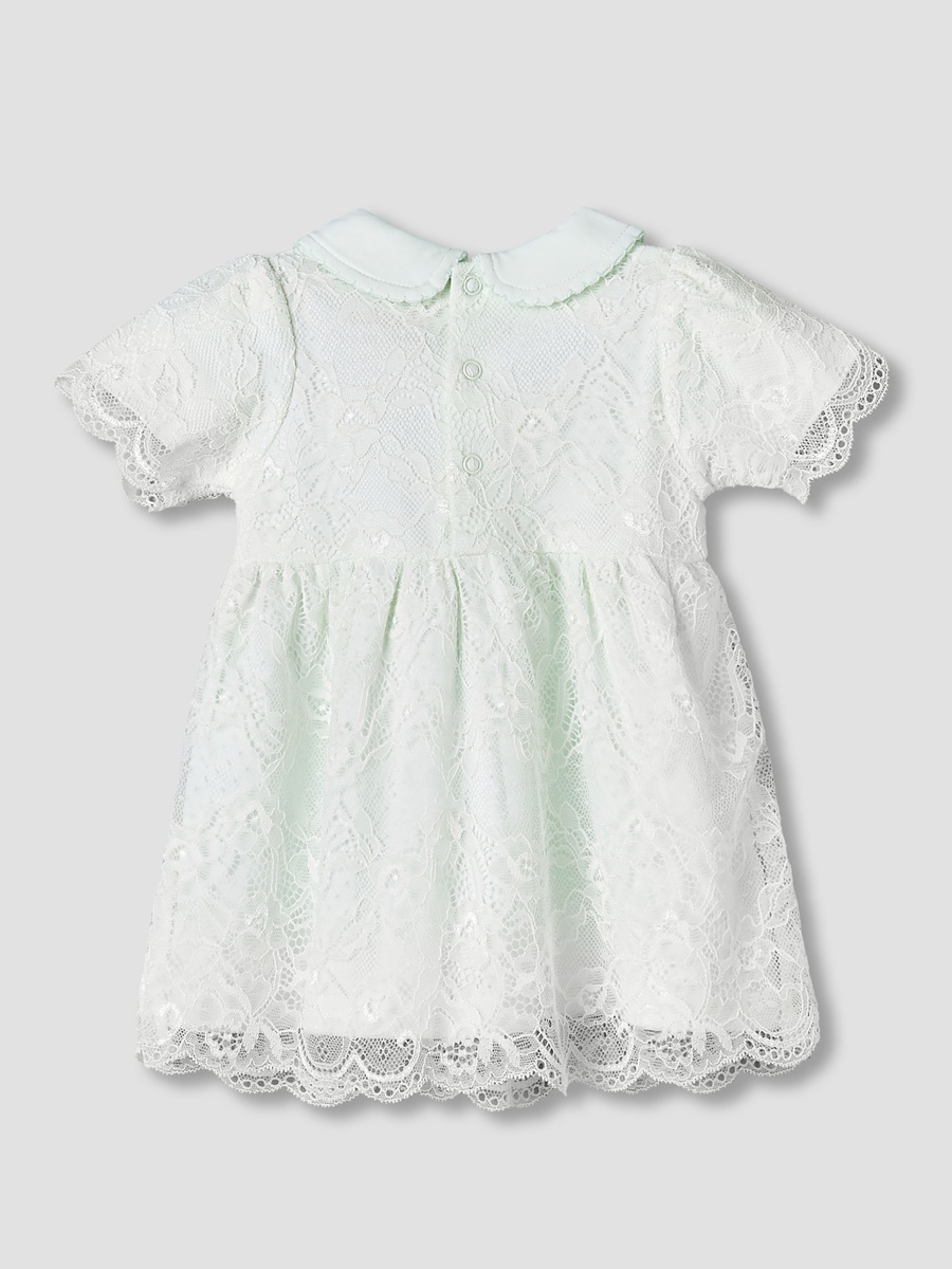 Peter Pan Collar Short Sleeves A-Line Dress with Lace Detail
