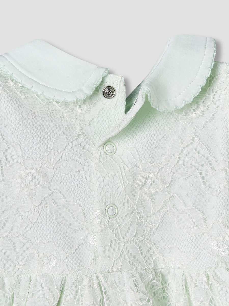 Peter Pan Collar Short Sleeves A-Line Dress with Lace Detail
