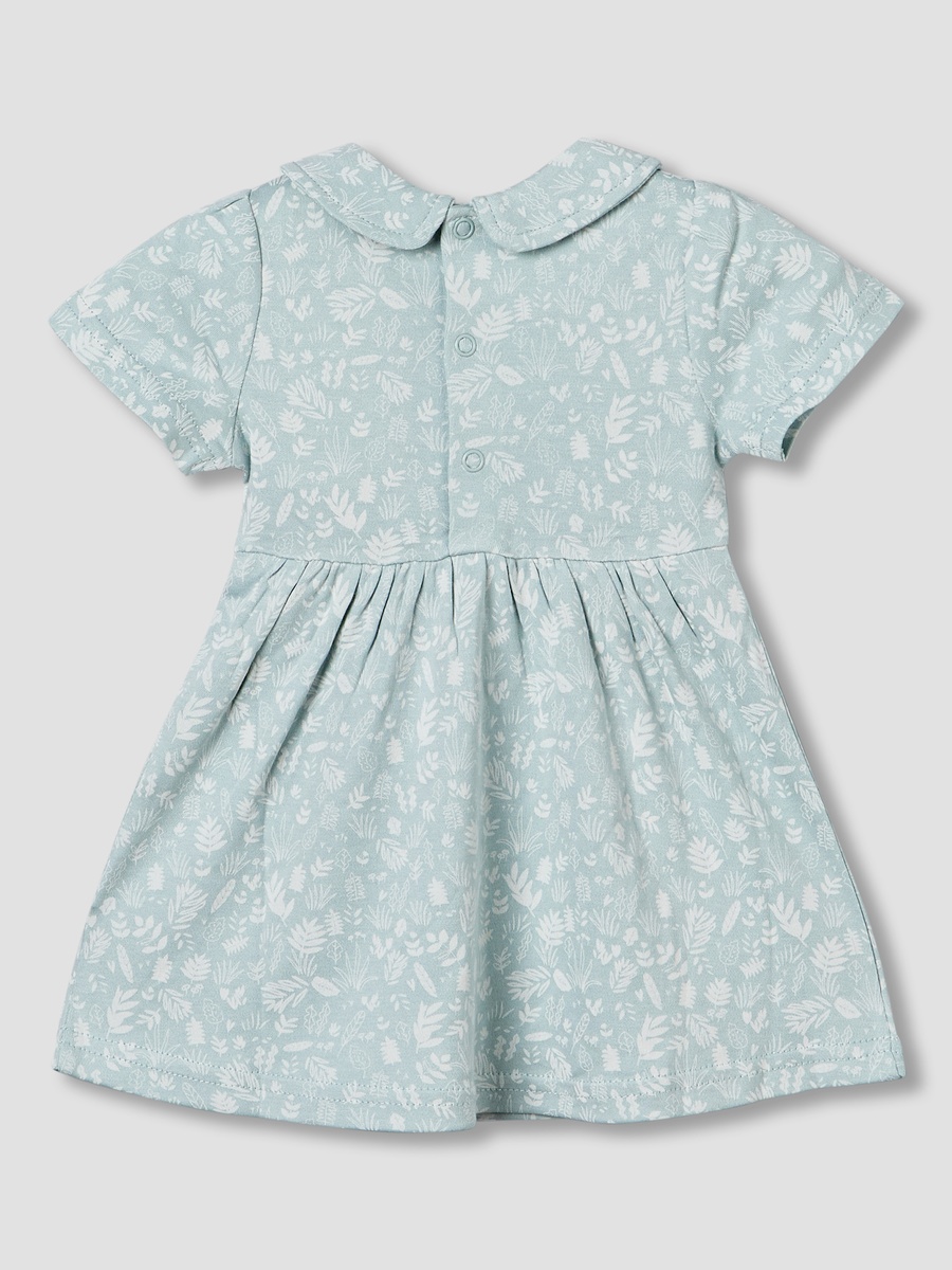 Peter Pan Collar Short Sleeve A-Line Dress with Floral Print