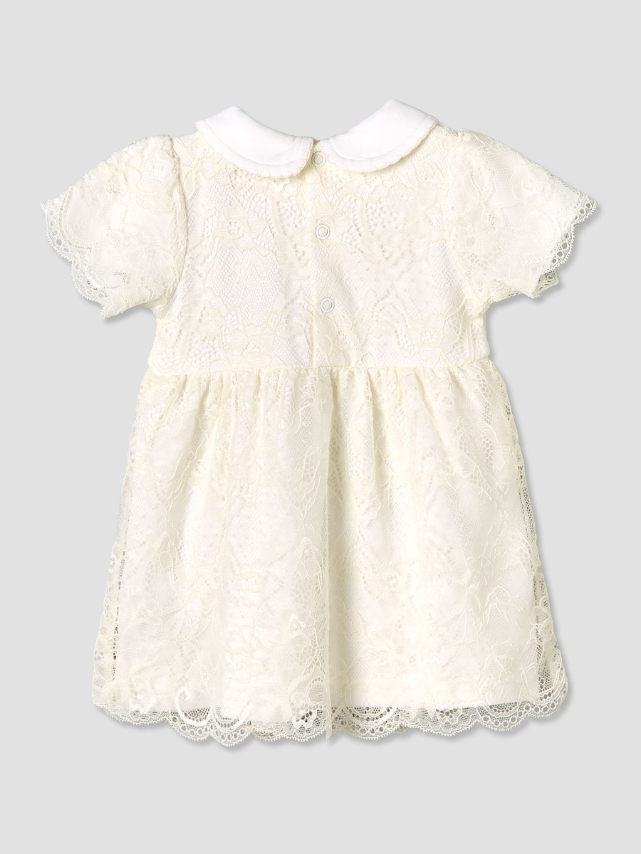 Peter Pan Collar Short Sleeves A-Line Dress with Lace Detail