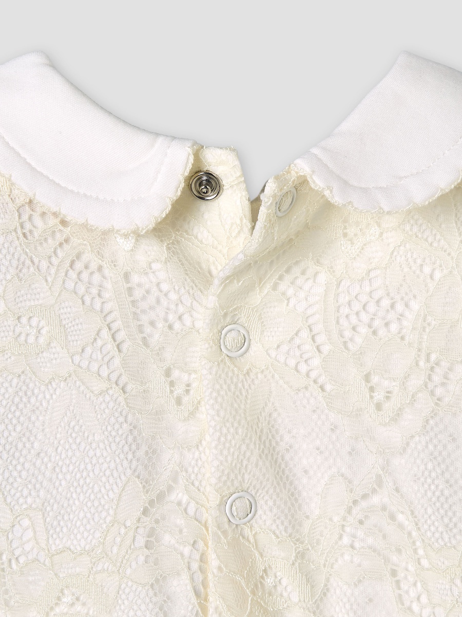 Peter Pan Collar Short Sleeves A-Line Dress with Lace Detail