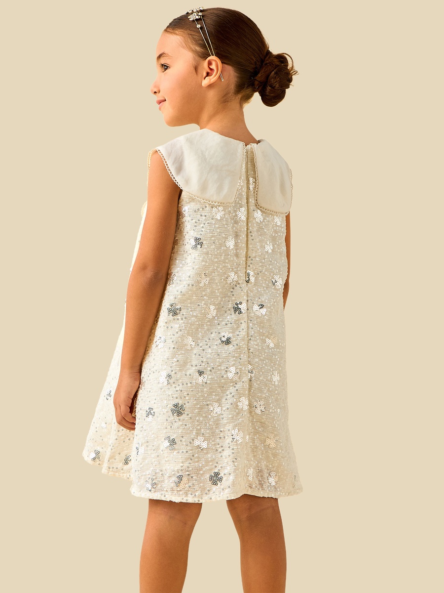 Round Neck Sleeveless A-Line Dress with Bow Collar Sequin Detail