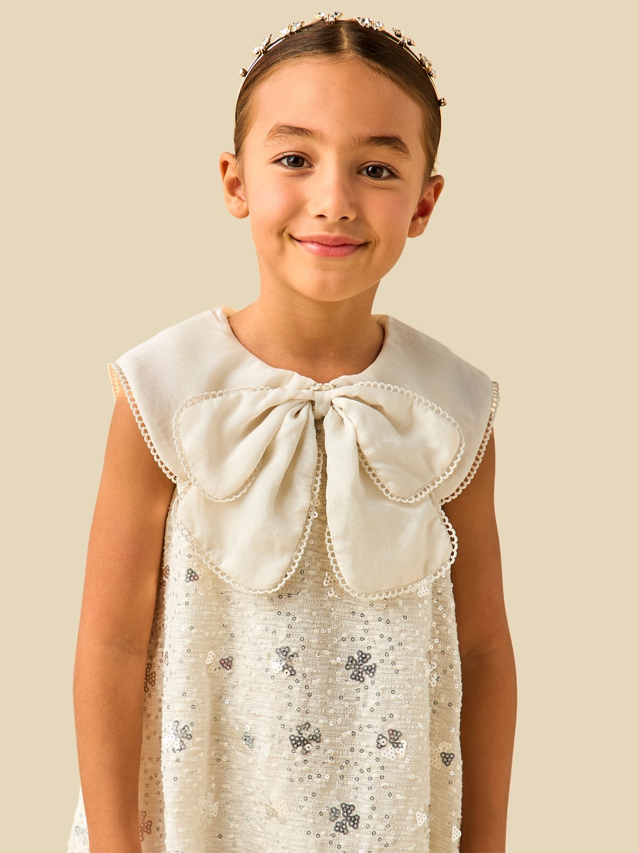 Round Neck Sleeveless A-Line Dress with Bow Collar Sequin Detail