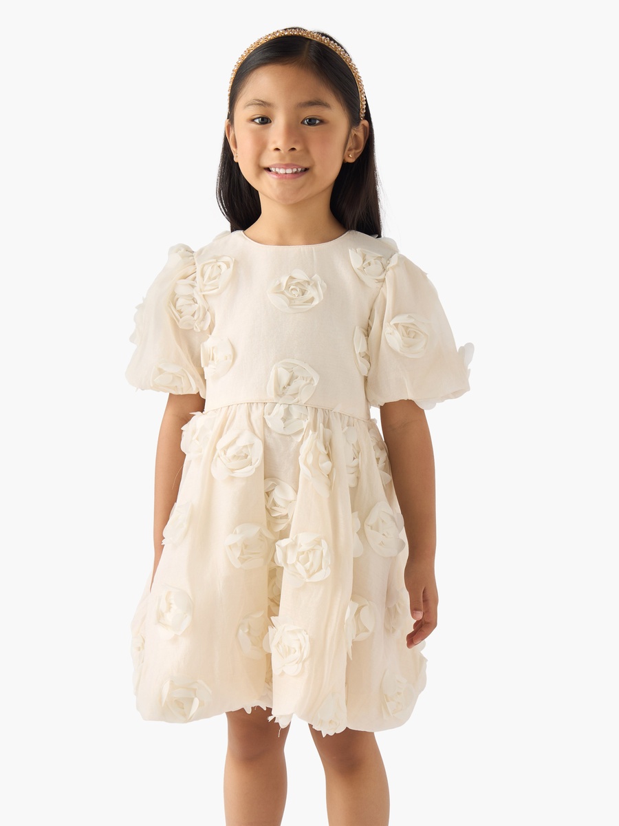 Round Neck Short Sleeves A-Line Dress with Floral Applique