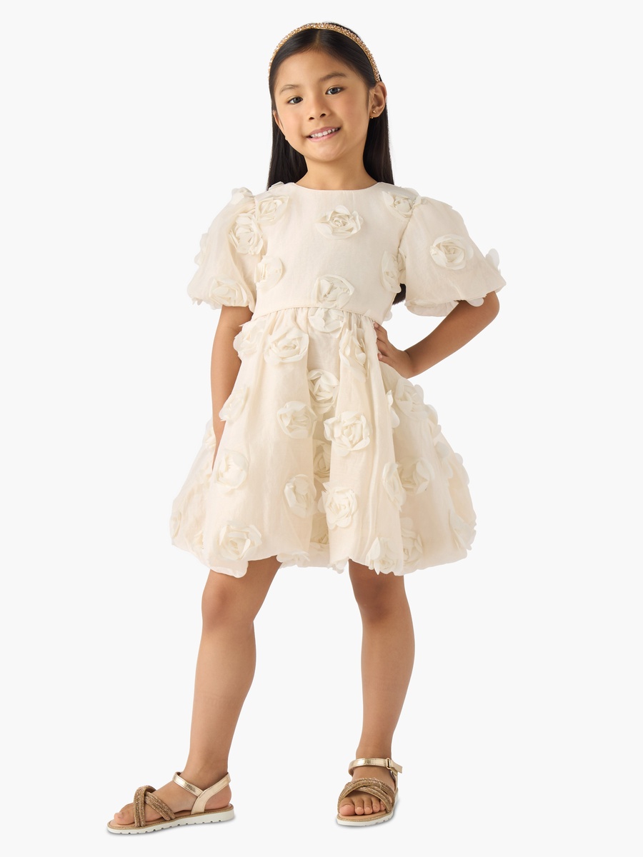 Round Neck Short Sleeves A-Line Dress with Floral Applique