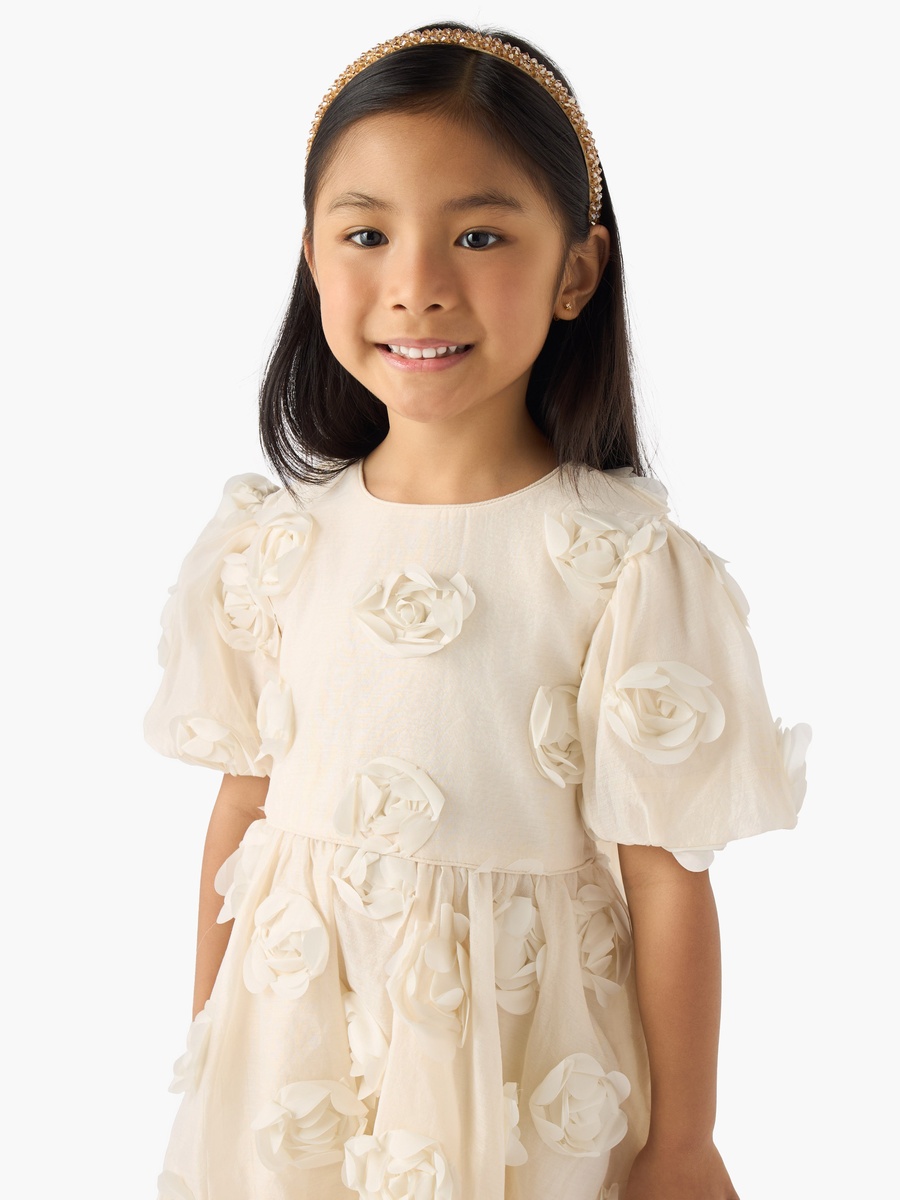 Round Neck Short Sleeves A-Line Dress with Floral Applique