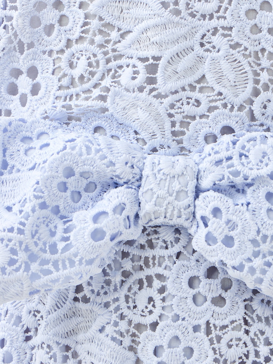 Round Neck Short Sleeves A-Line Dress with Floral Lace and Bow Accent