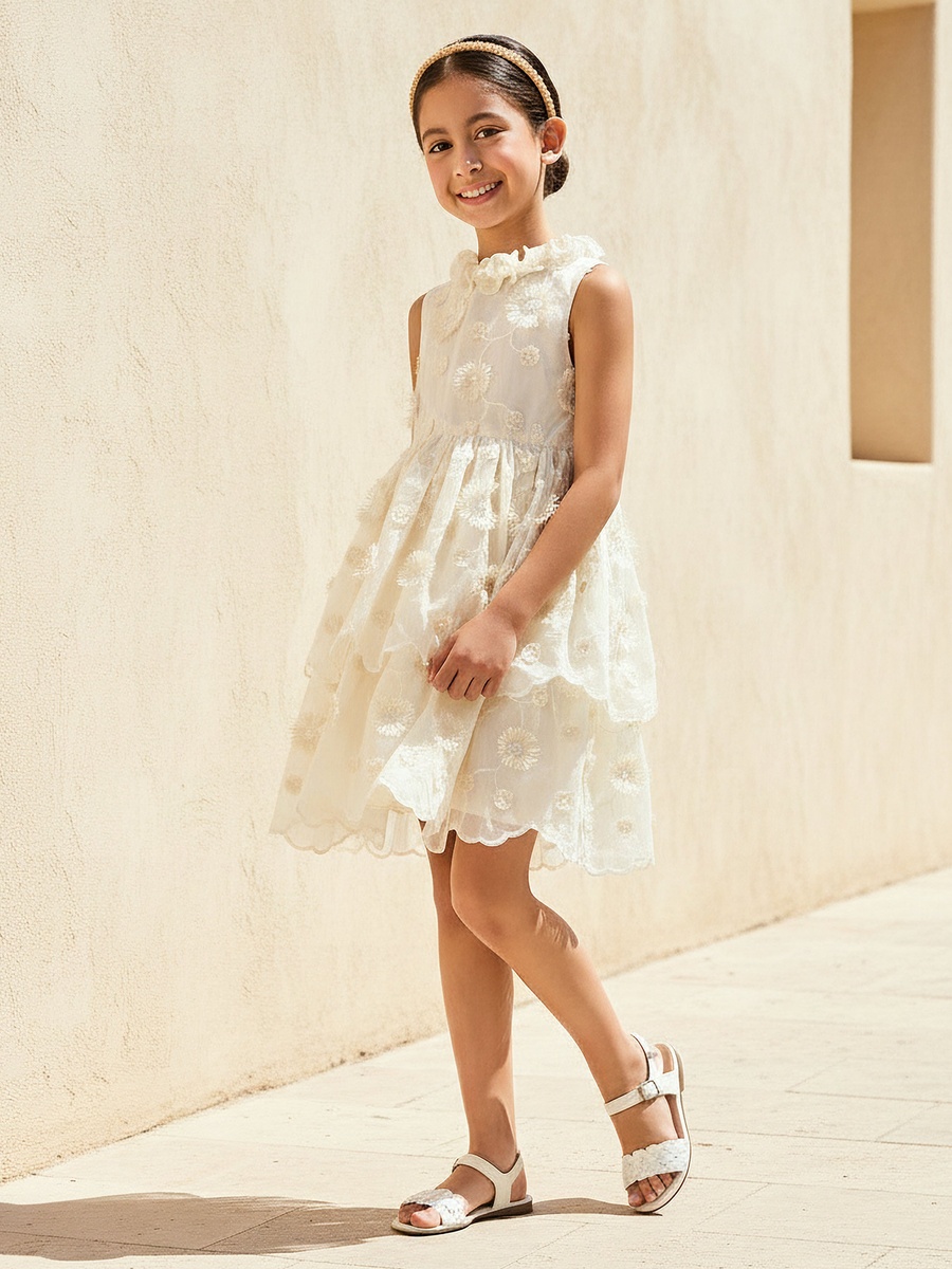 Ruffle Neck Sleeveless Tiered Dress with Embroidered Detail