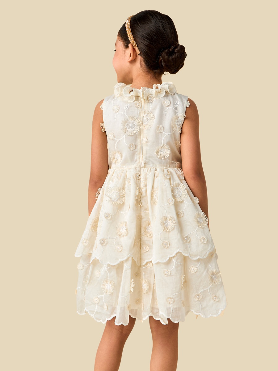 Ruffle Neck Sleeveless Tiered Dress with Embroidered Detail