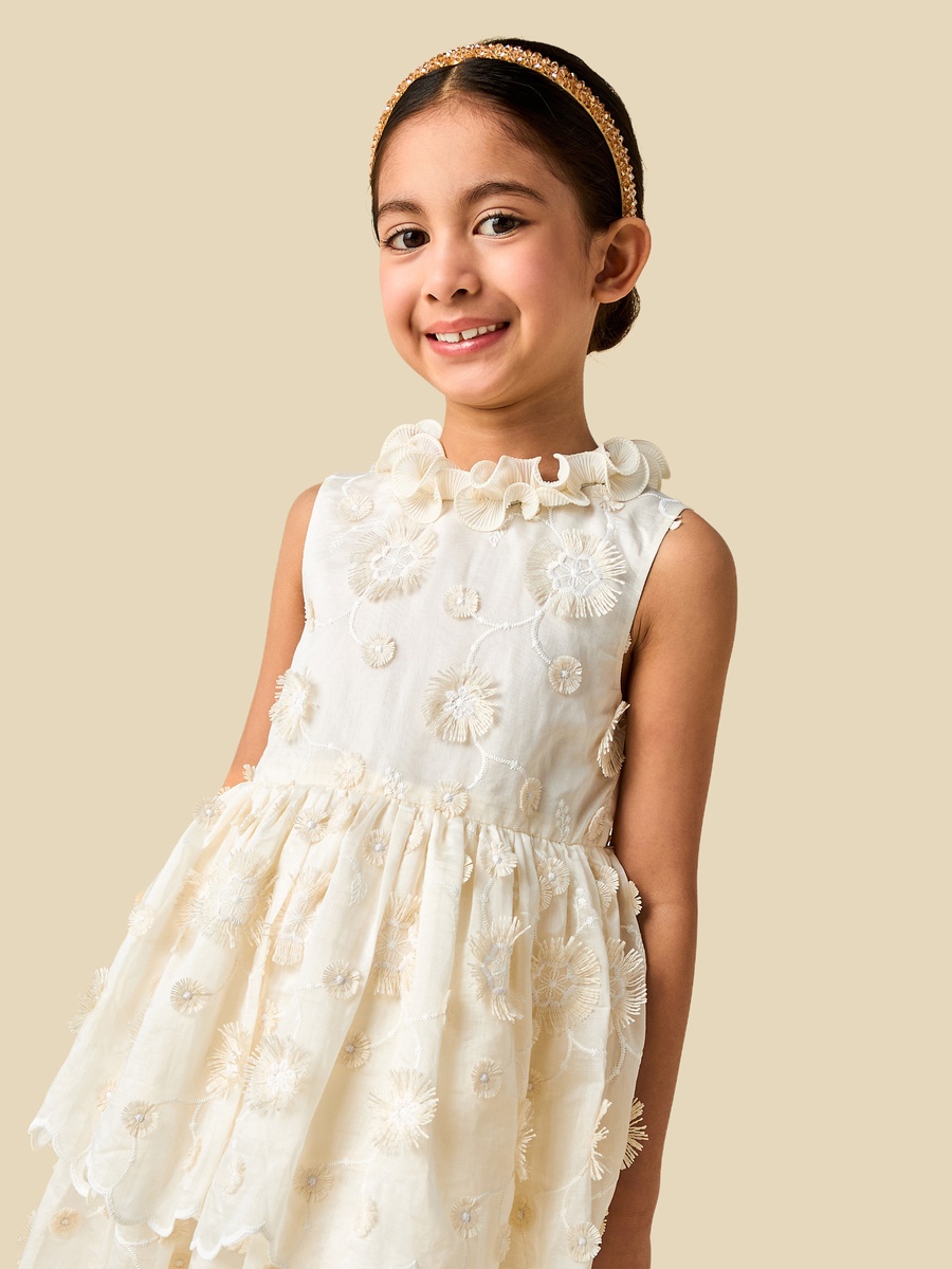 Ruffle Neck Sleeveless Tiered Dress with Embroidered Detail