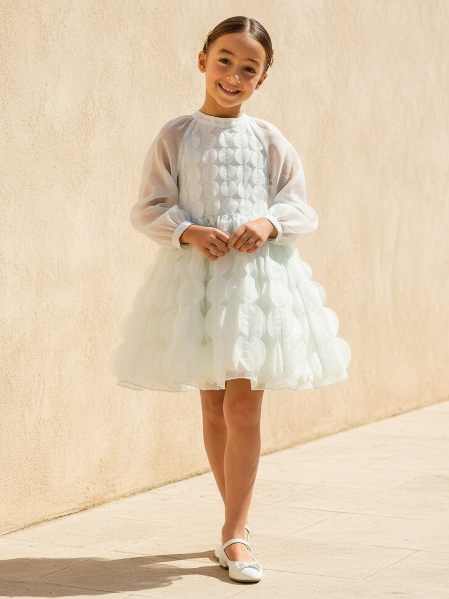 Mandarin Neck Long Sleeves Dress with Circle Applique