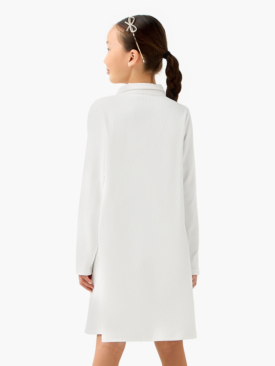 Collared Long Sleeves A-Line Dress with Bow Applique
