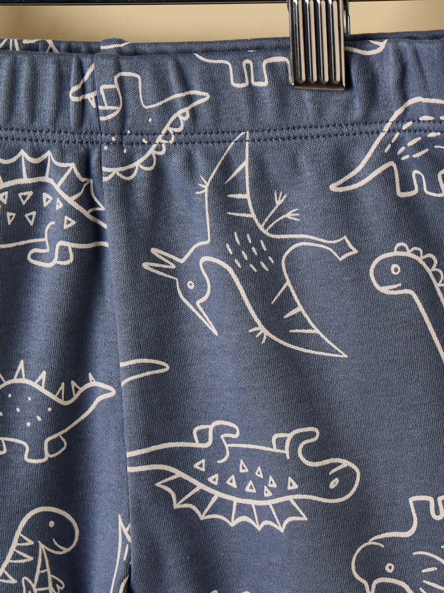 Dinosaur Print Cotton Shorts Set