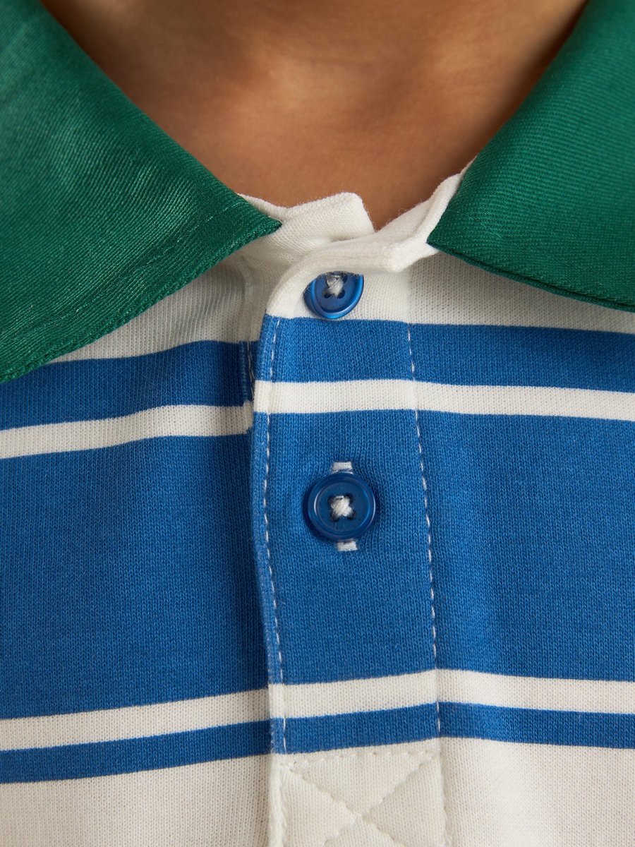 Striped Polo T-Shirt with Contrast Collar