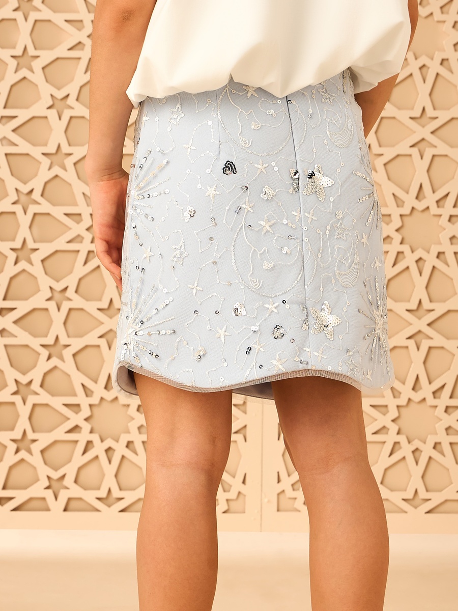 Embroidered Mini Skirt