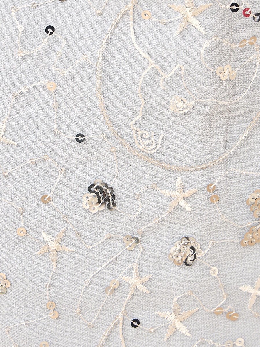 Embroidered Mini Skirt