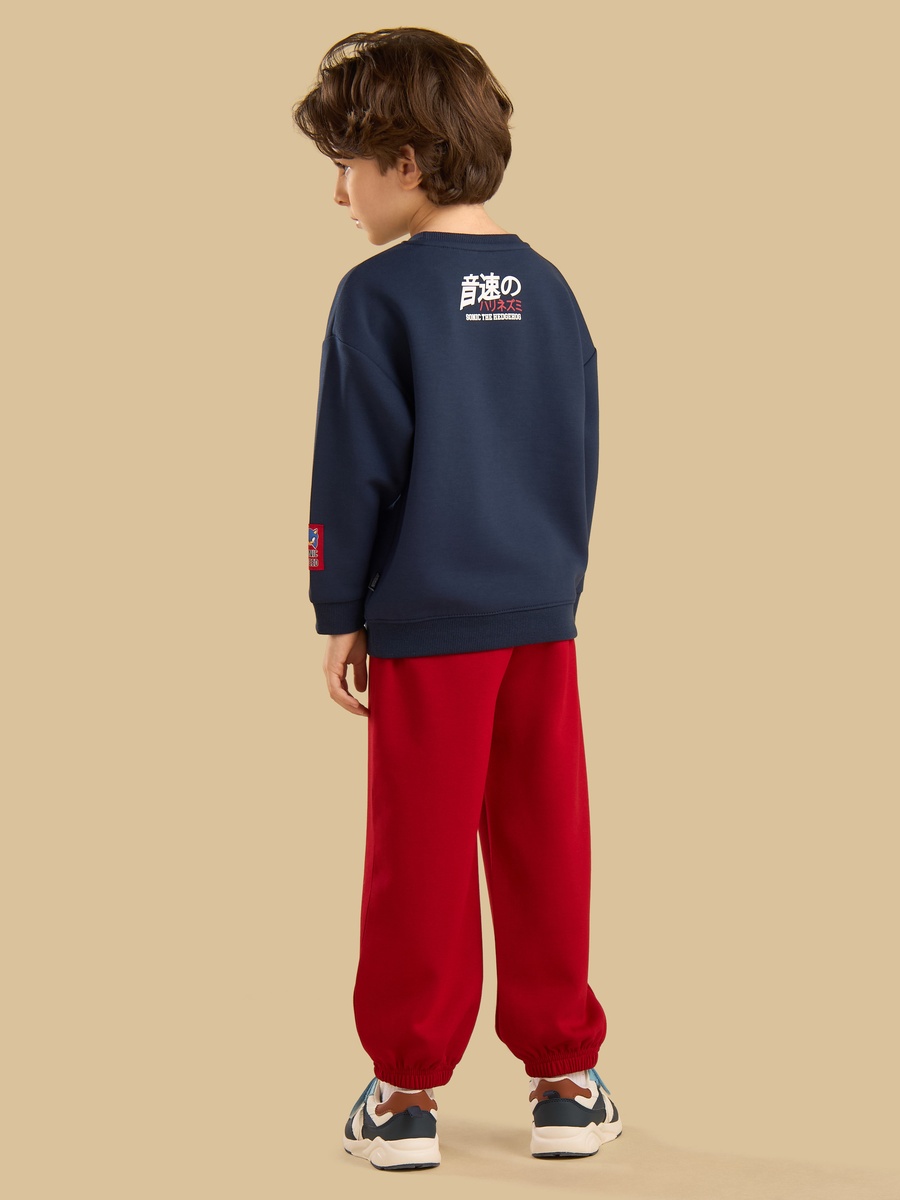 Sonic The Hedgehog Embroidered Sweatshirt and Joggers Set