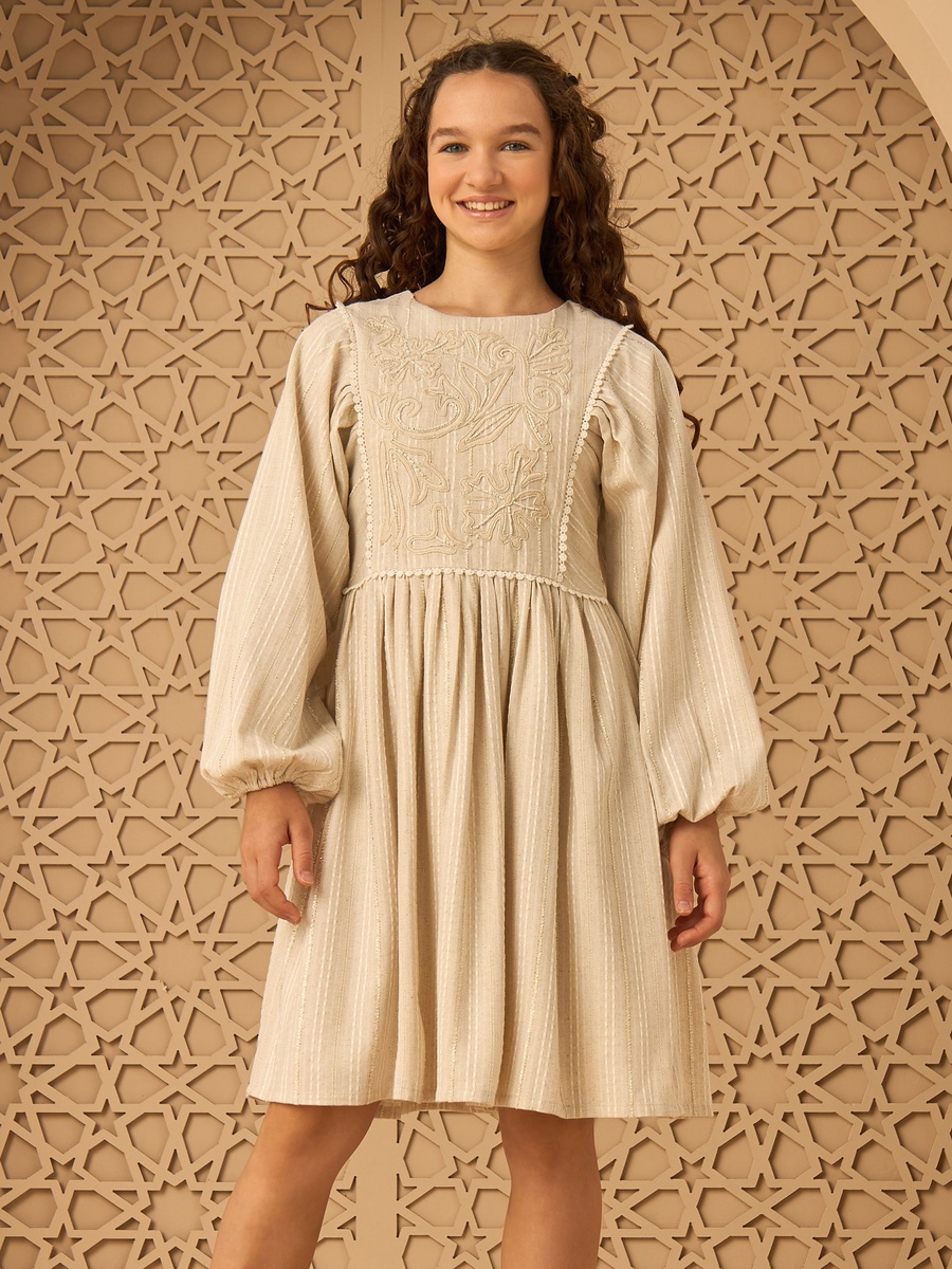 Embroidered Yoke A-Line Dress