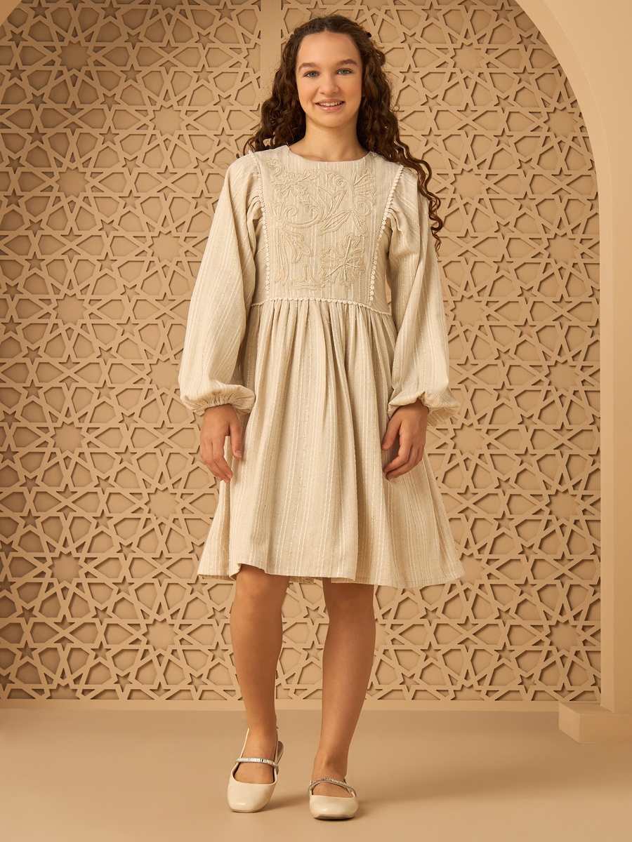 Embroidered Yoke A-Line Dress