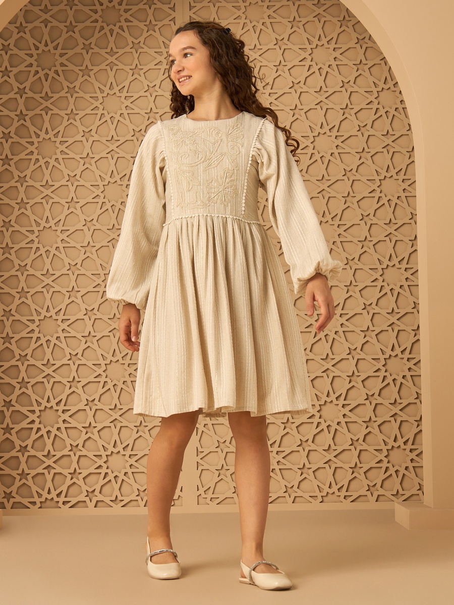 Embroidered Yoke A-Line Dress