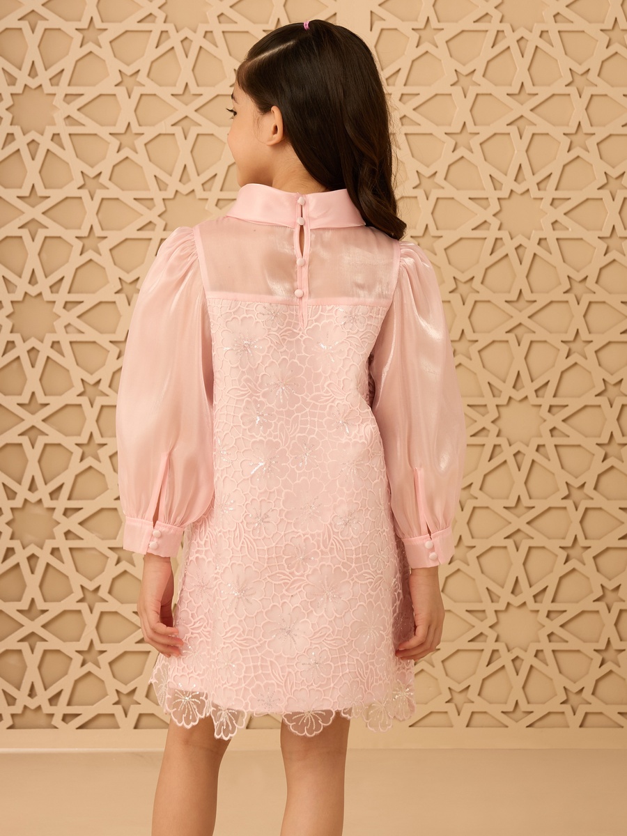 Lace A-Line Dress with Organza Neck Tie-Up