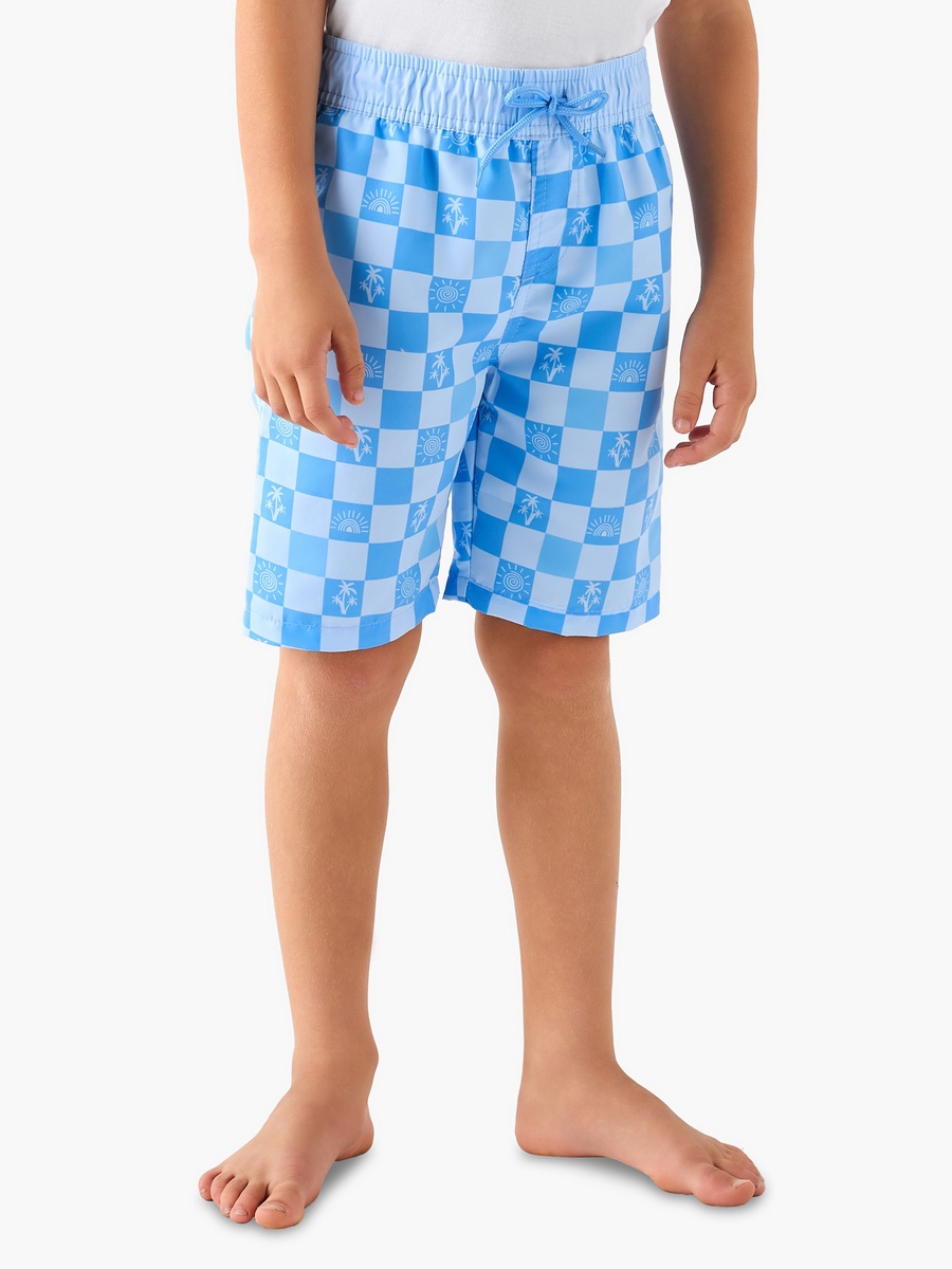Checked Swim Shorts