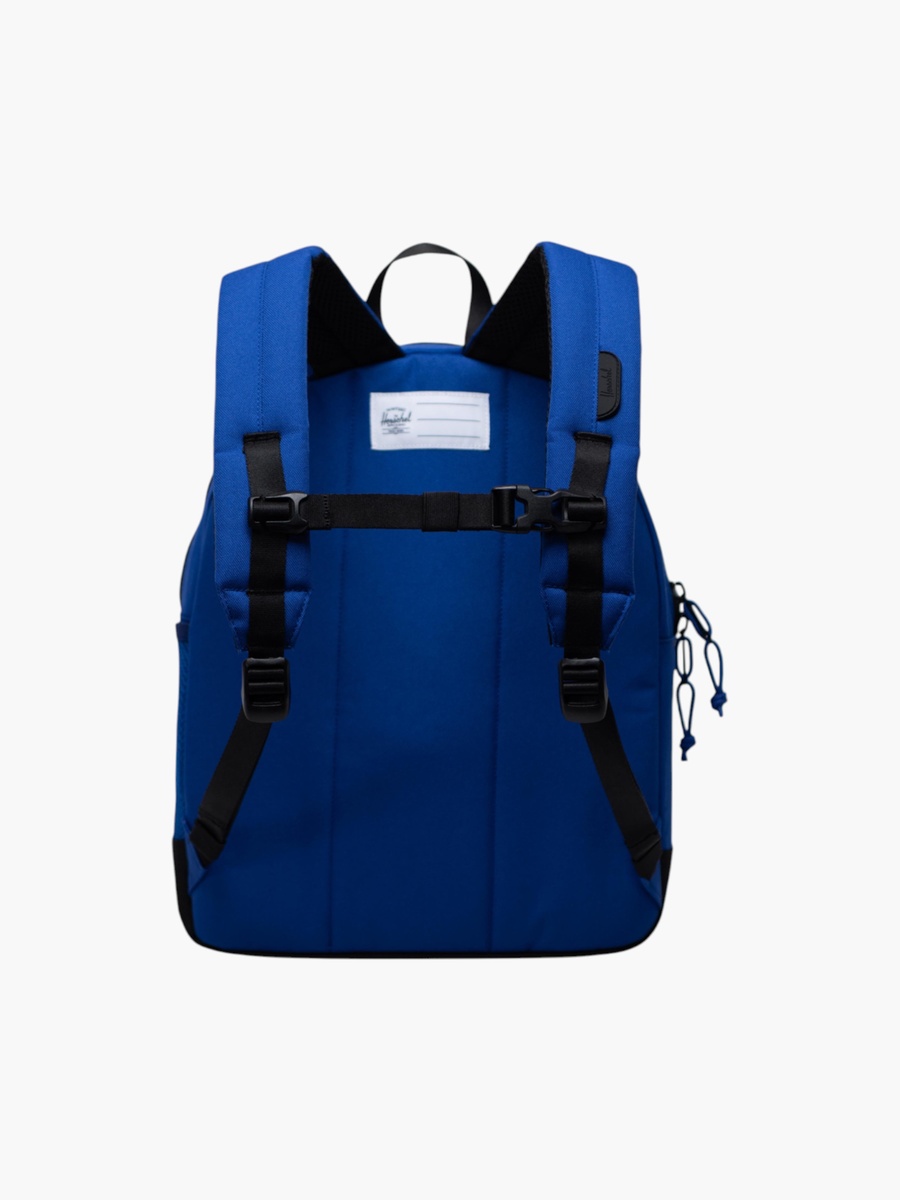 Colourblock Backpack with Adjustable Shoulder Straps - 38x30x15 cm