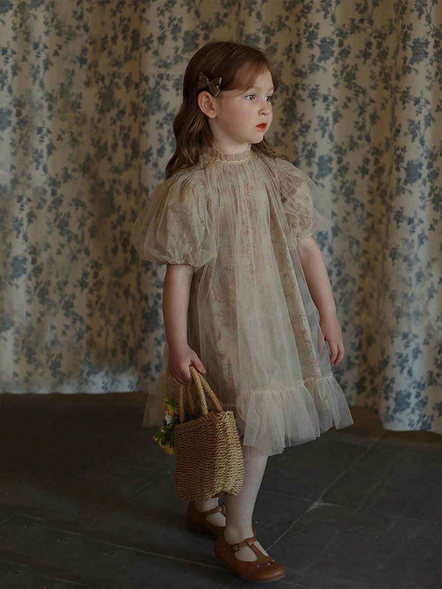 Girls Floral Print Mesh Puff Sleeve Dress