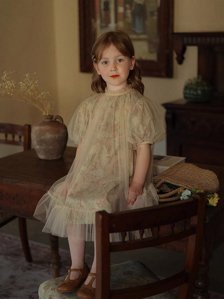 Girls Floral Print Mesh Puff Sleeve Dress