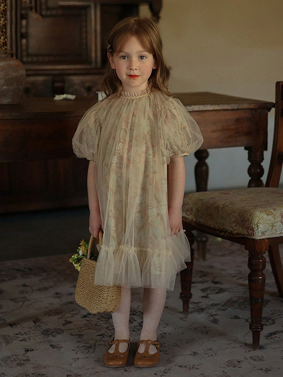Girls Floral Print Mesh Puff Sleeve Dress