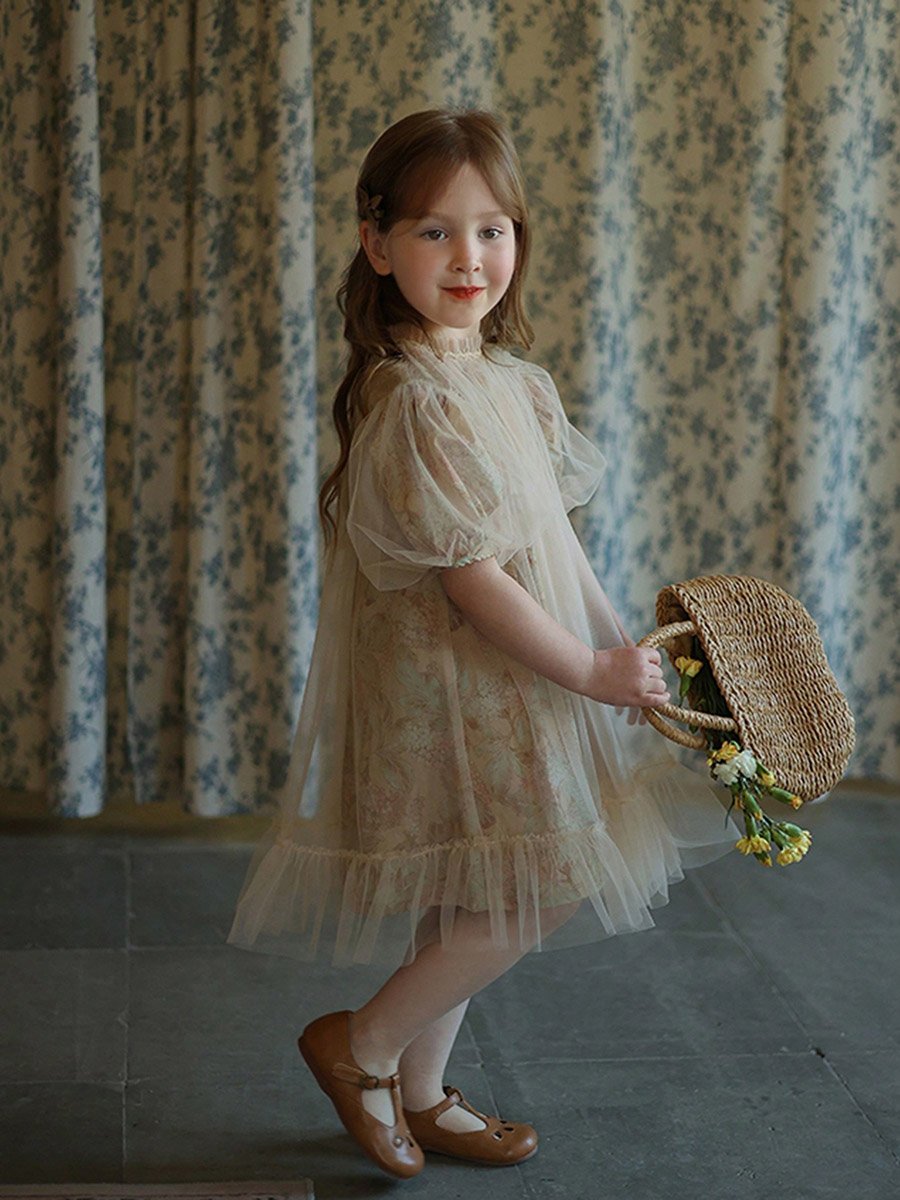 Girls Floral Print Mesh Puff Sleeve Dress