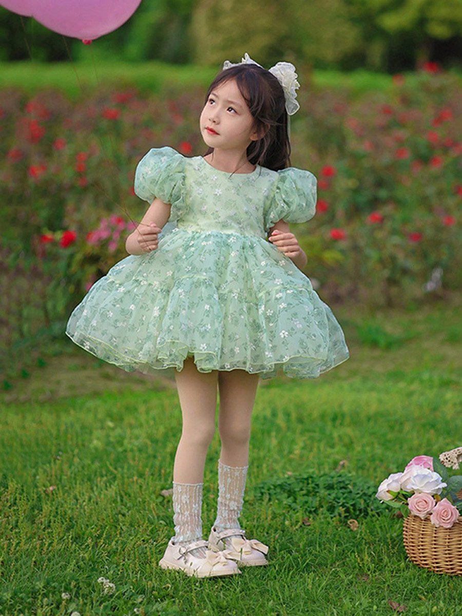 Girls Floral Print Puff Sleeve Dress