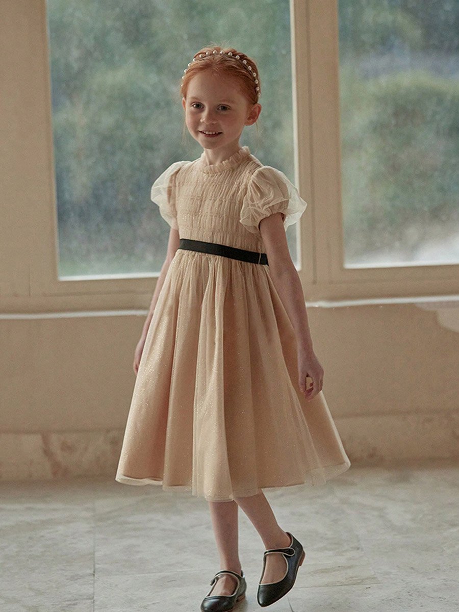 Girls Solid Puff Sleeve Smocked Dress