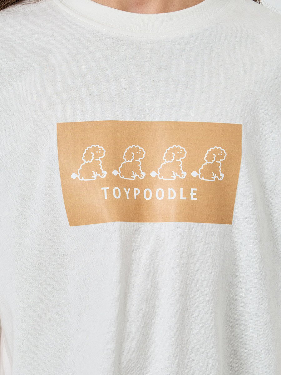 Teen Girls White Cotton Graphic Relaxed T-Shirt