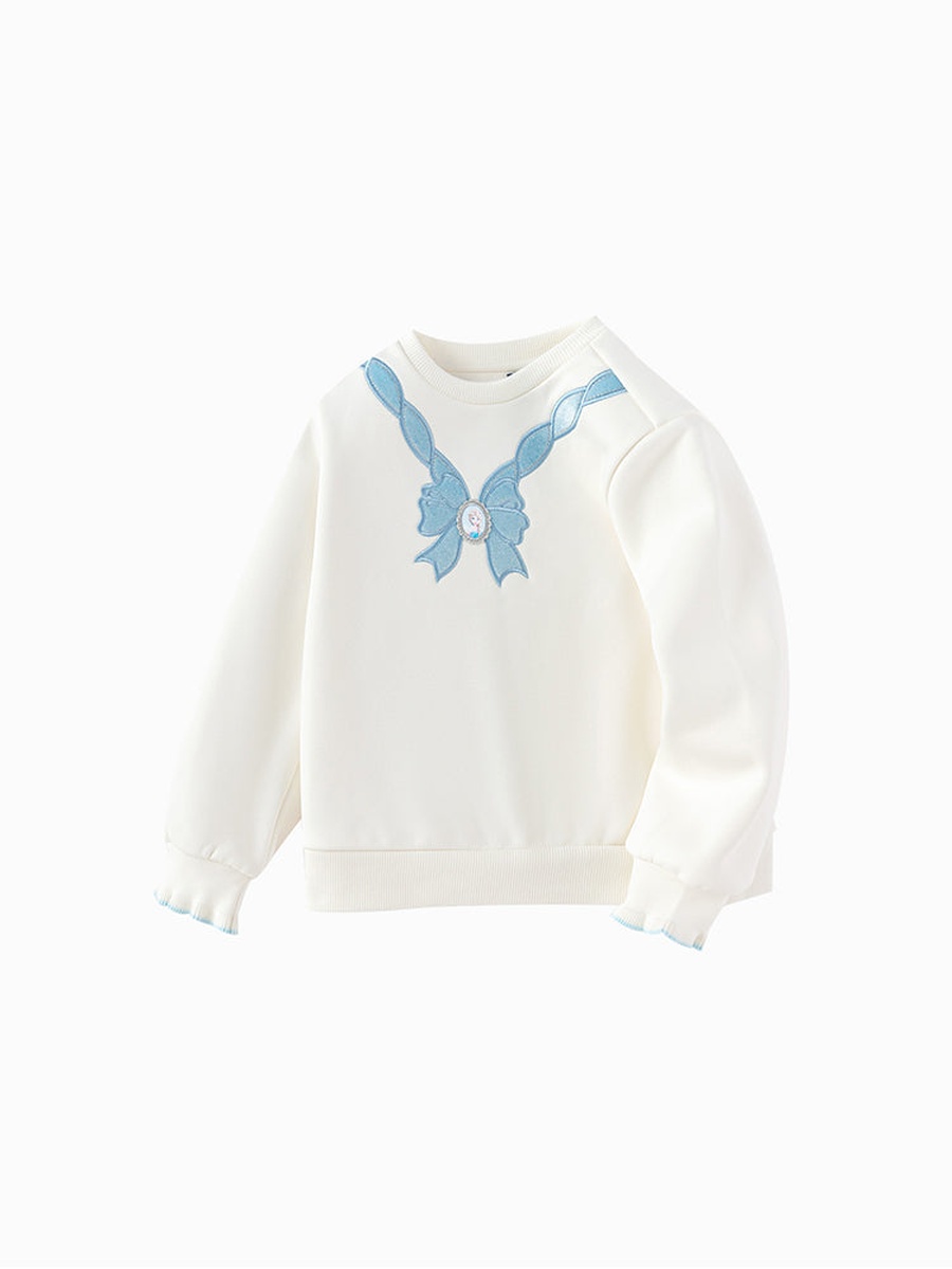 Sweatshirt with Embroidery