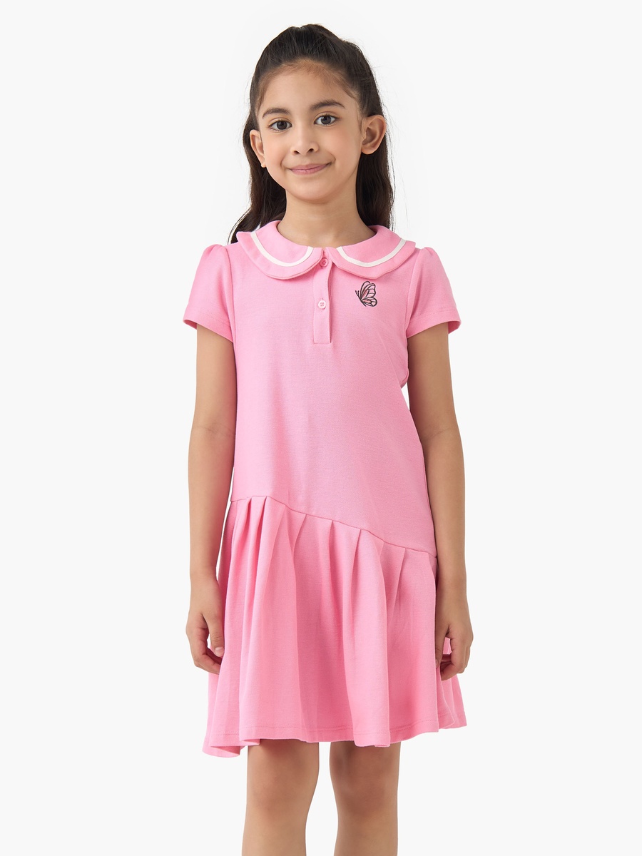 Peter Pan Collar Short Sleeves Dress with Butterfly Embroidery