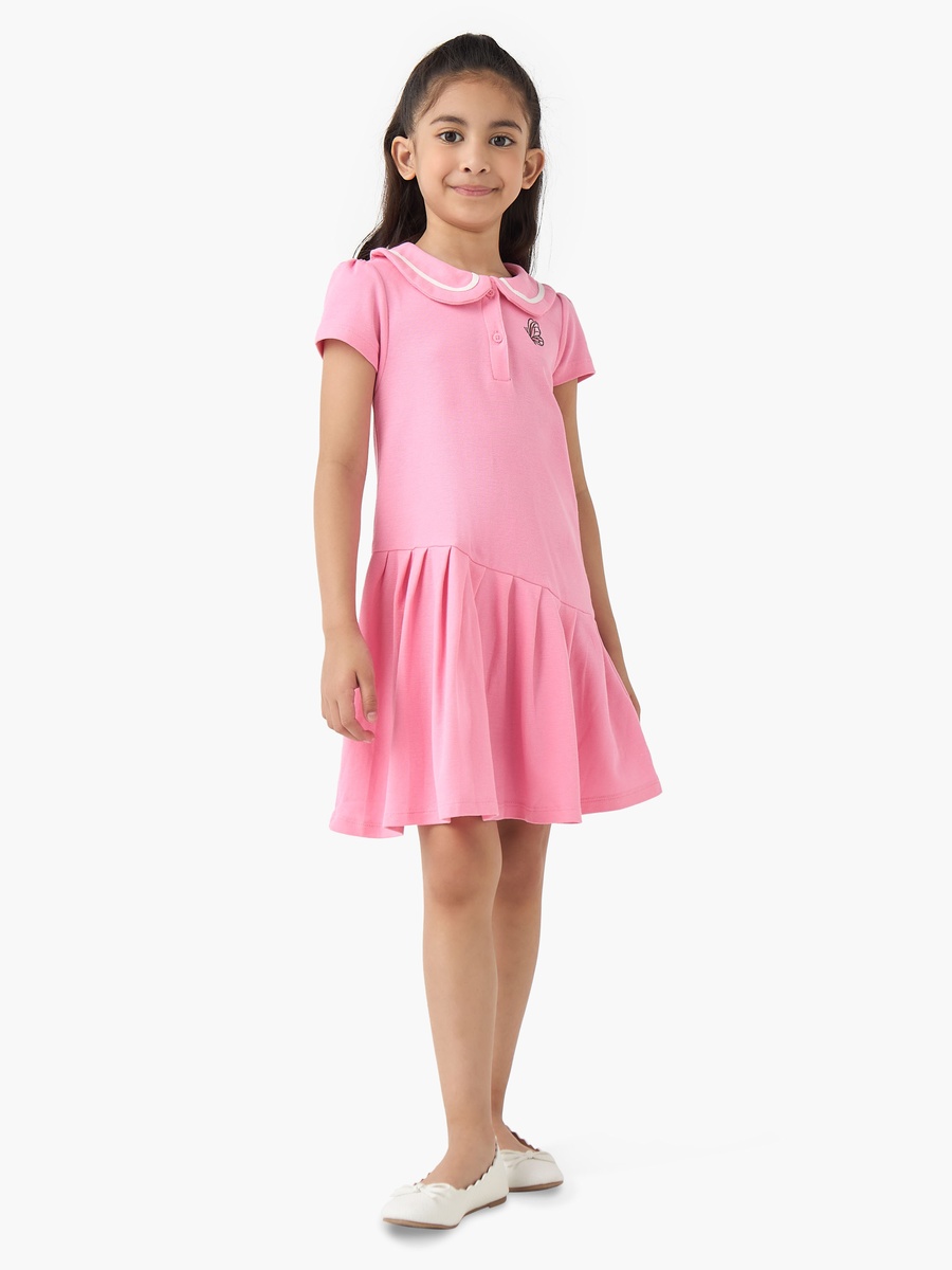 Peter Pan Collar Short Sleeves Dress with Butterfly Embroidery