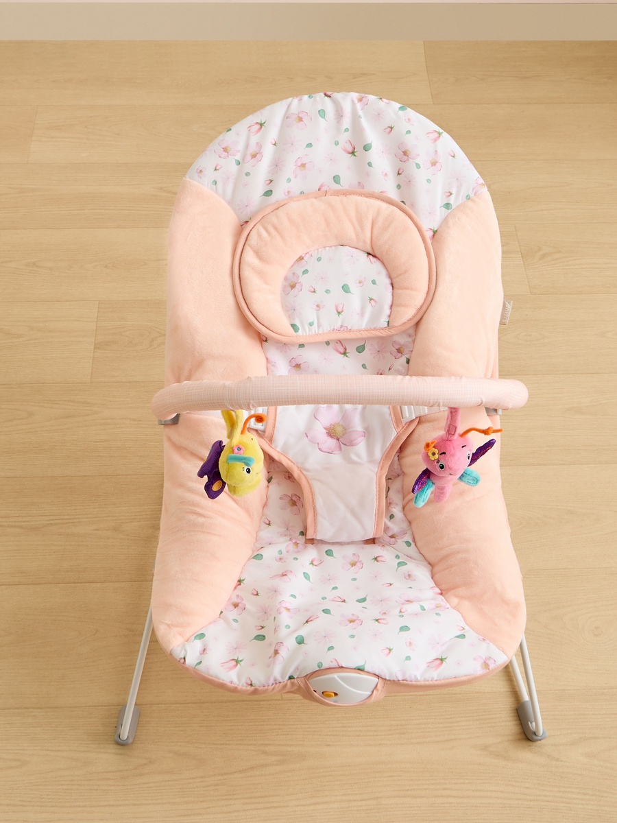 Plum Baby Bouncer