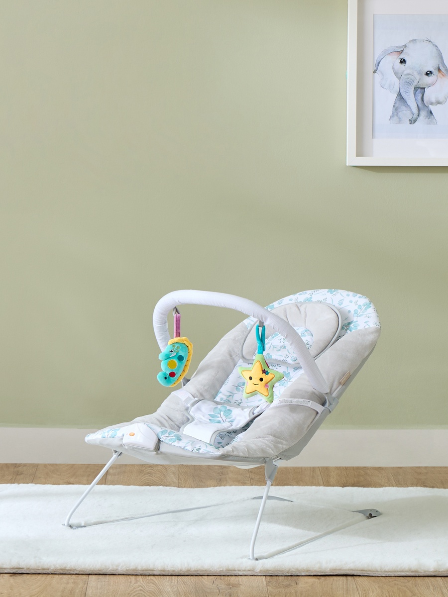 Plum Baby Bouncer