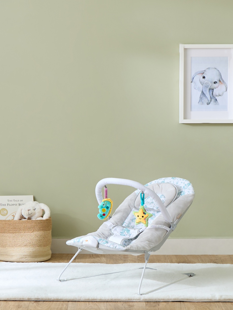 Plum Baby Bouncer