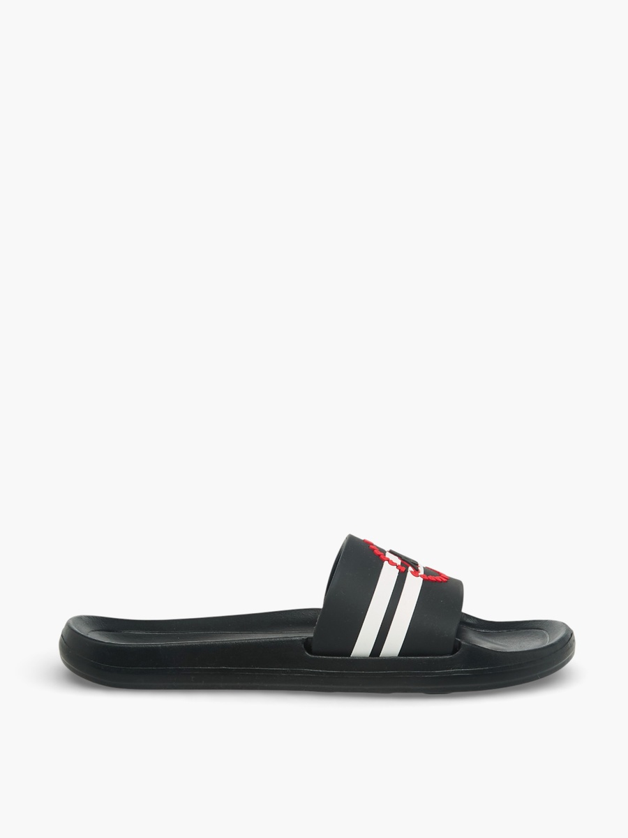 Logo Detail Slides