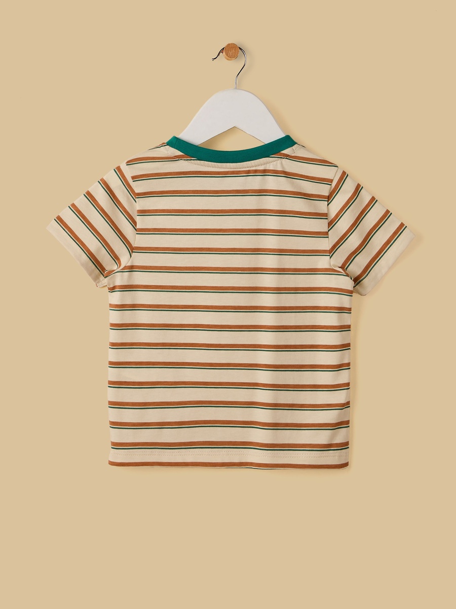 Striped Cotton T-Shirt
