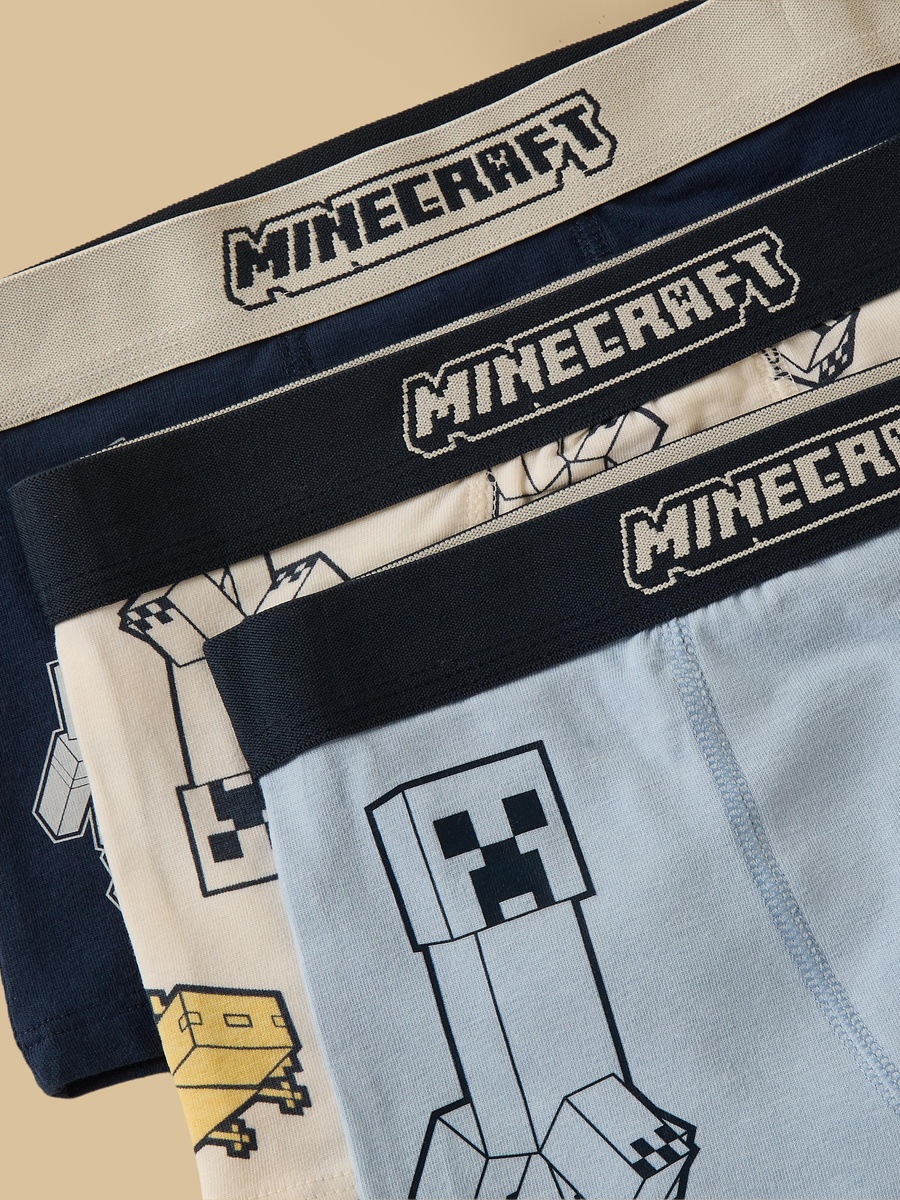 Pack of 3 - Minecraft Print Trunks