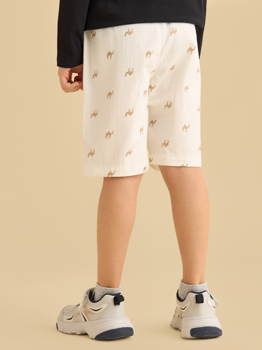 Pack of 2 - Assorted Shorts