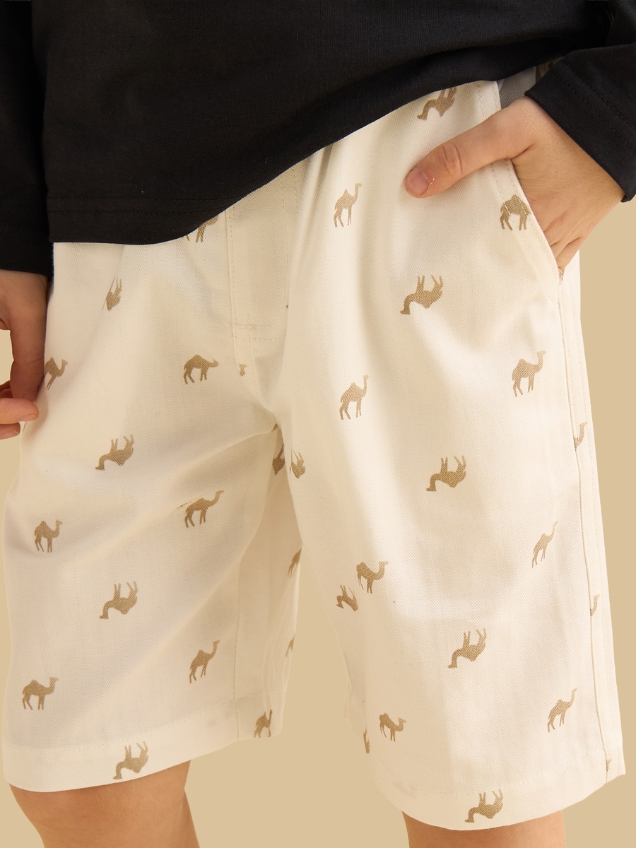 Pack of 2 - Assorted Shorts