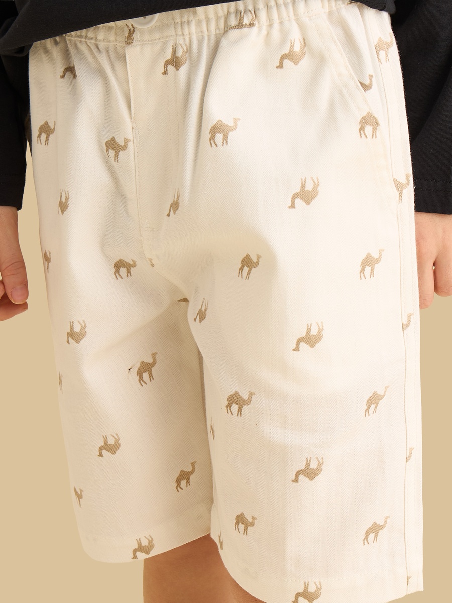 Pack of 2 - Assorted Shorts