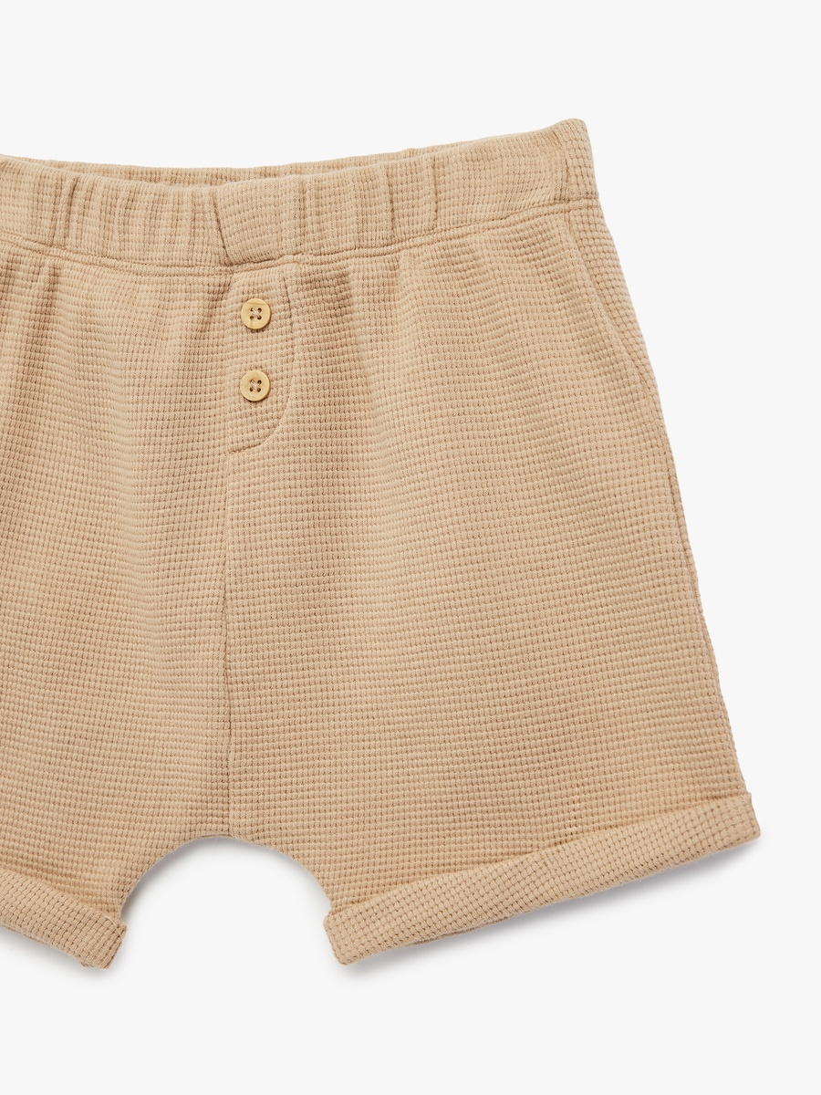Cotton Shorts
