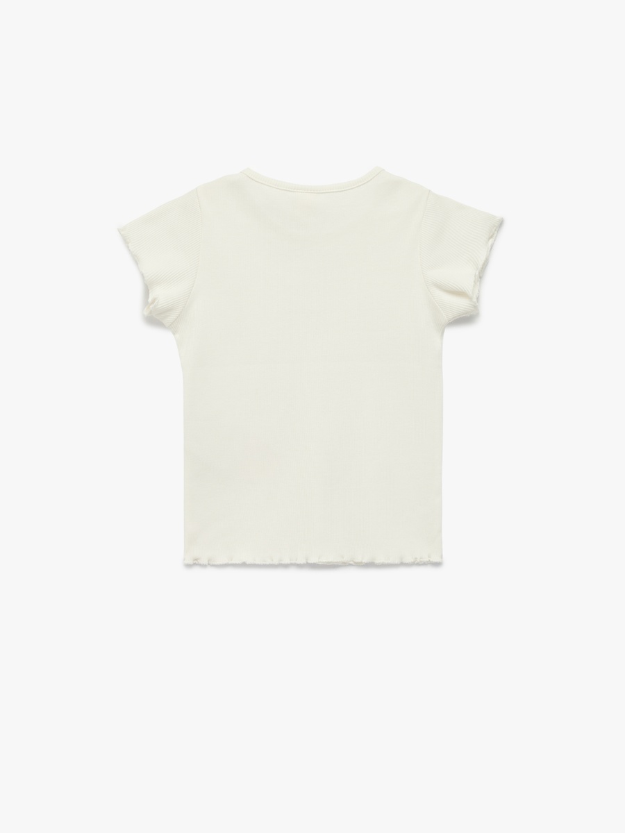 Cotton T-Shirt