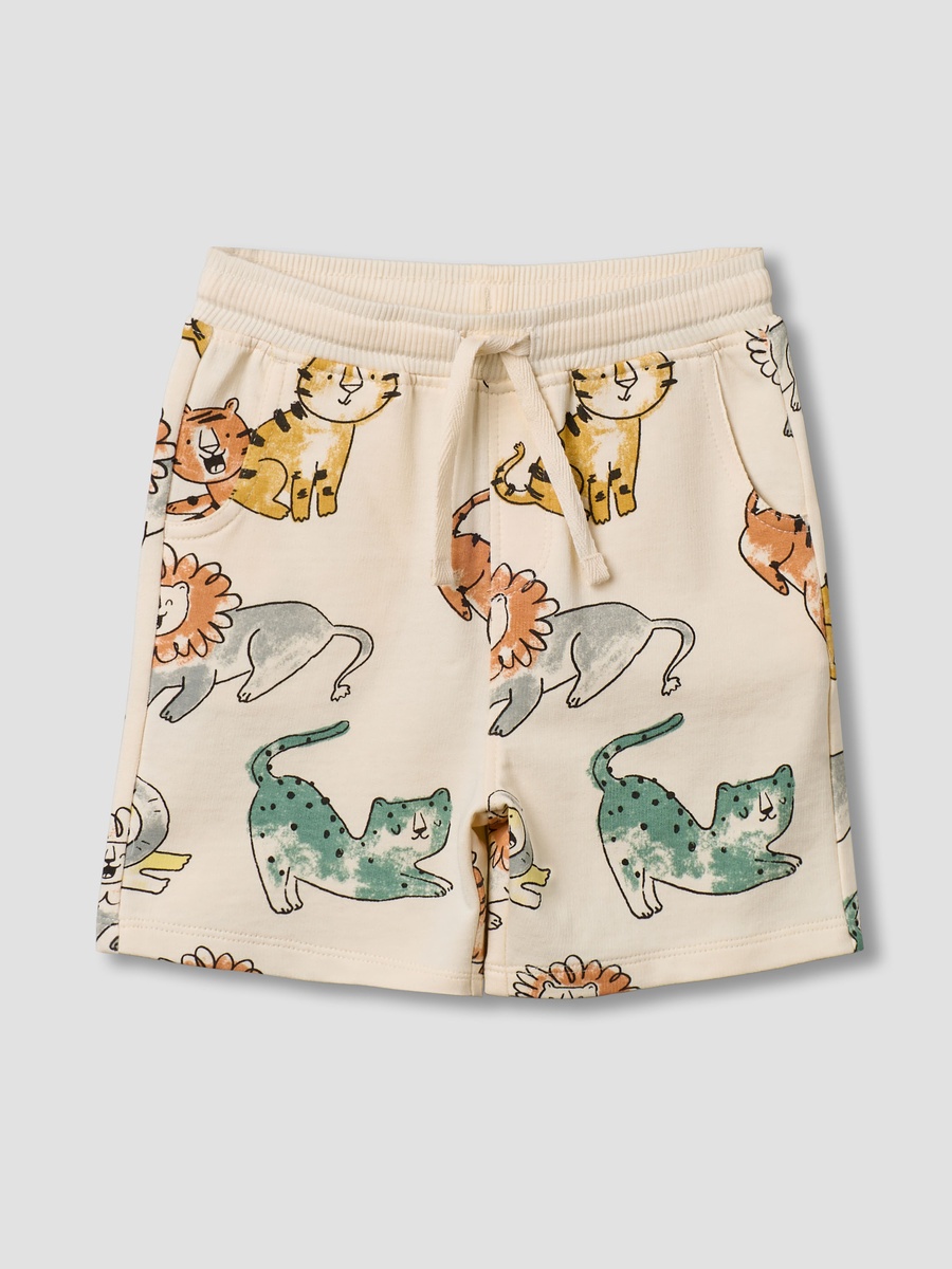 Drawstring Waist Shorts with Print