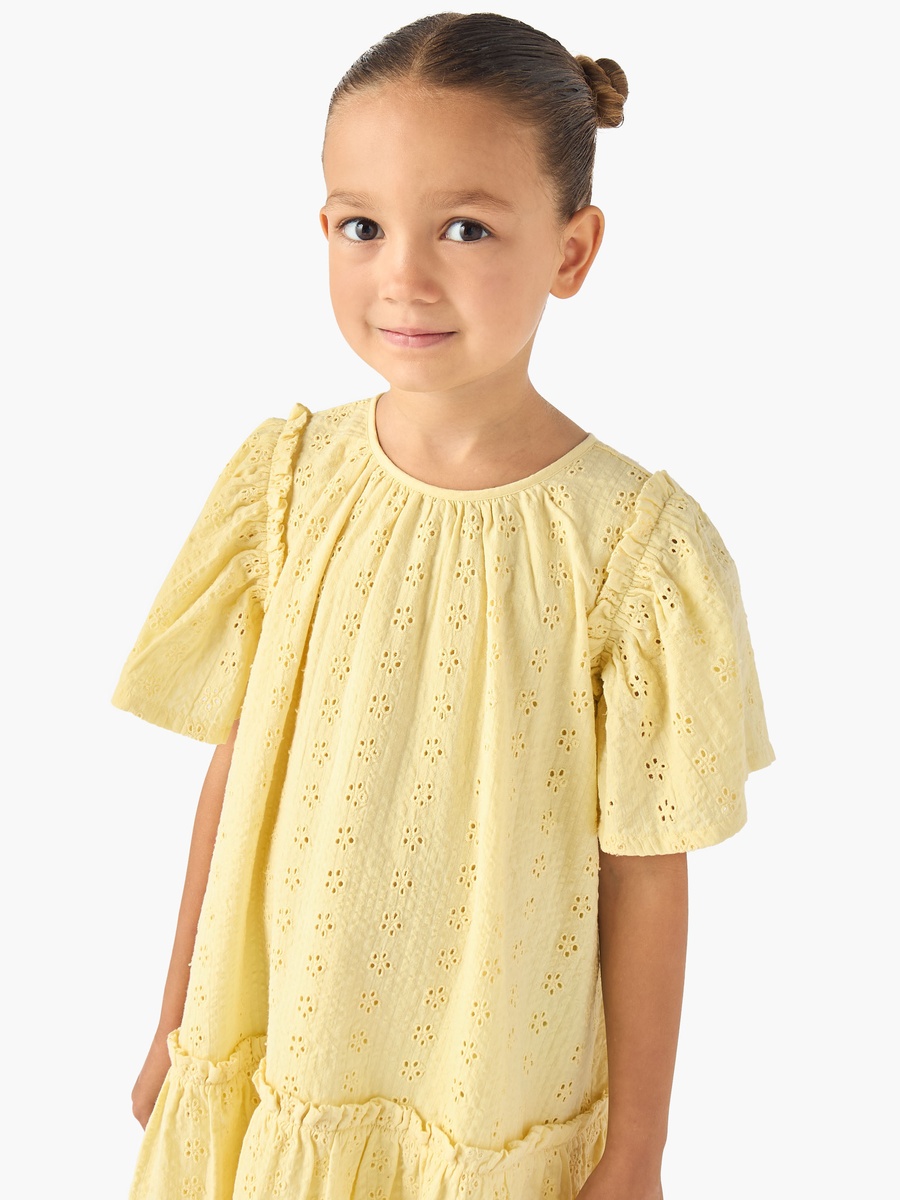 Round Neck Short Sleeves A-Line Dress with Schiffli Detail